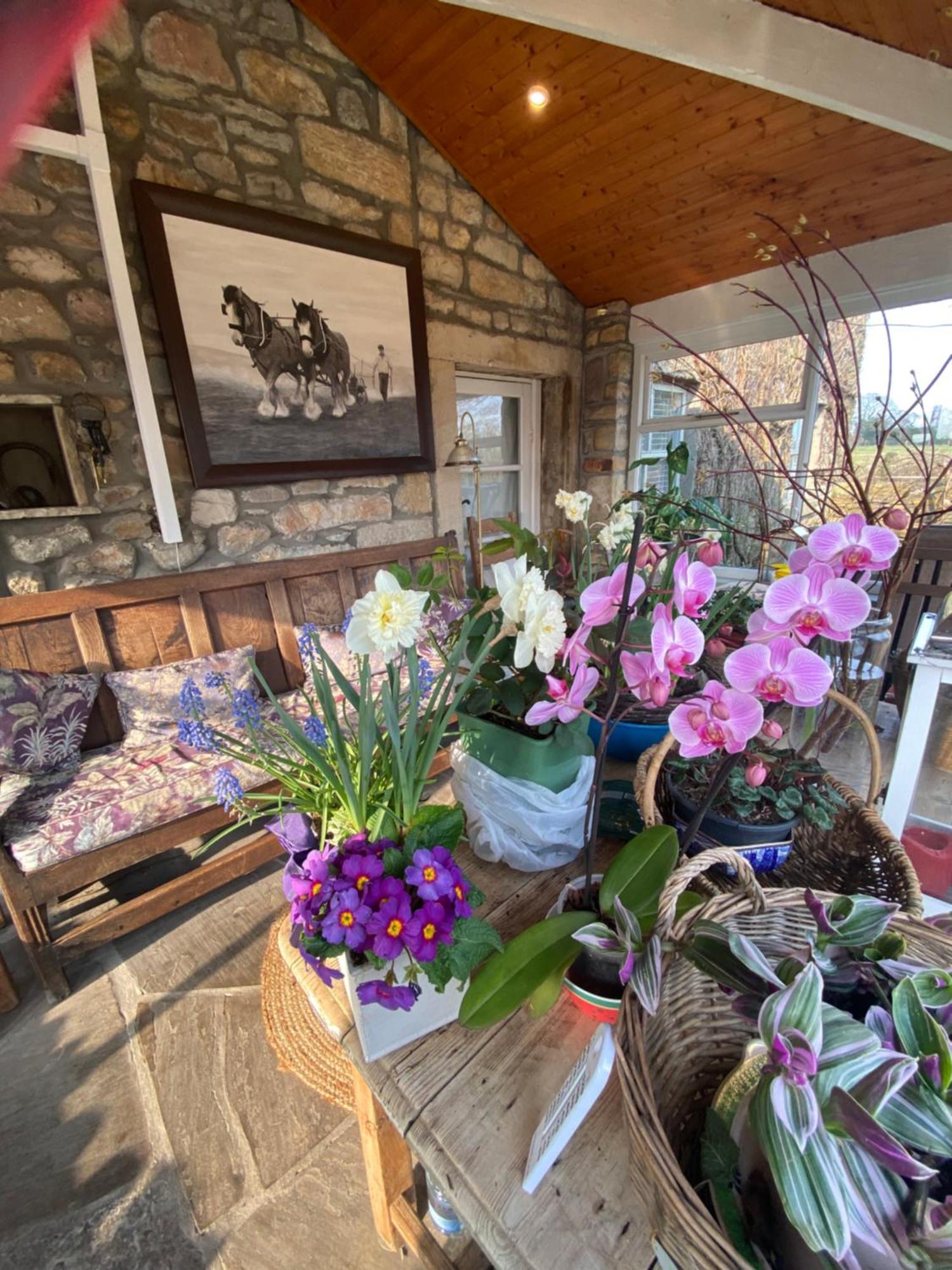 ادينغتون Chapel Cottage Clitheroe Road المظهر الخارجي الصورة
