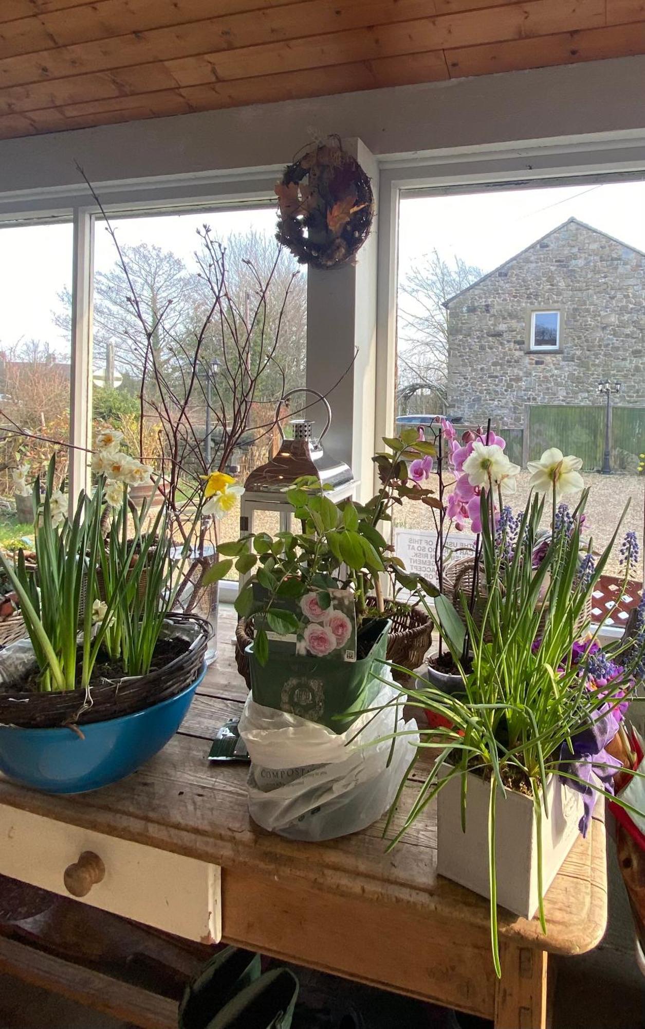 ادينغتون Chapel Cottage Clitheroe Road المظهر الخارجي الصورة